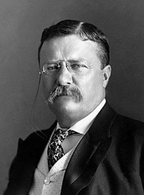 セオドア・ルーズベルトのプロフィール画像